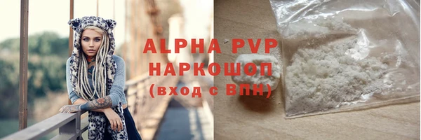 стаф Чекалин