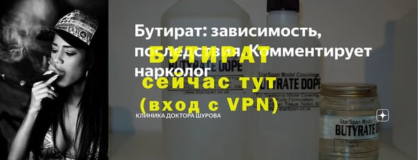 шишки Щучье