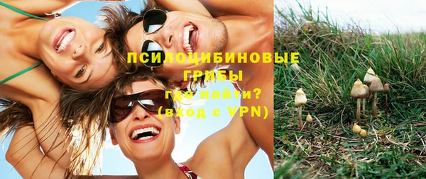 стаф Чекалин