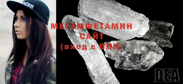 шишки Щучье